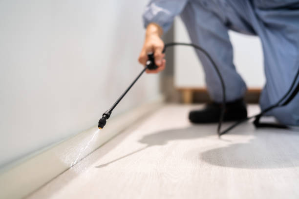 Professional Pest Control in Damascus, OR
