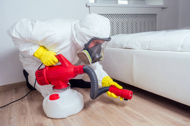 Best Residential Pest Control  in Damascus, OR
