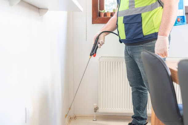 Best Termite Control Services  in Damascus, OR