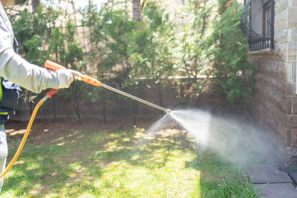 Best Pest Prevention Services  in Damascus, OR
