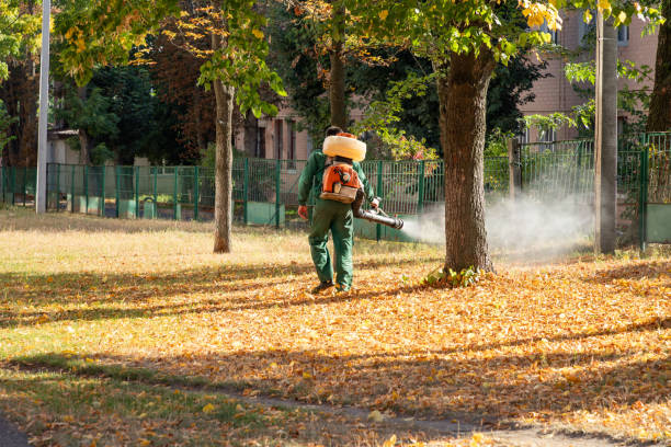Best Cockroach Control Services  in Damascus, OR