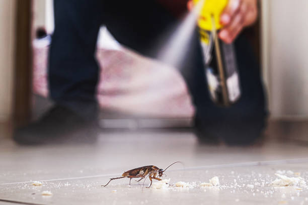 Best Pest Control Treatment  in Damascus, OR