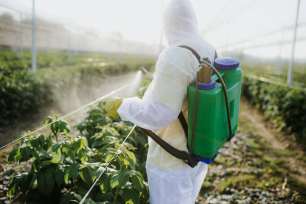 Best Local Pest Control Services  in Damascus, OR